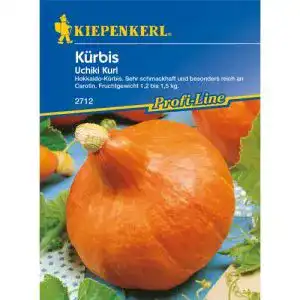 Kürbis-Samen Kiepenkerl Kürbissamen, Kürbis Uchiki Kuri