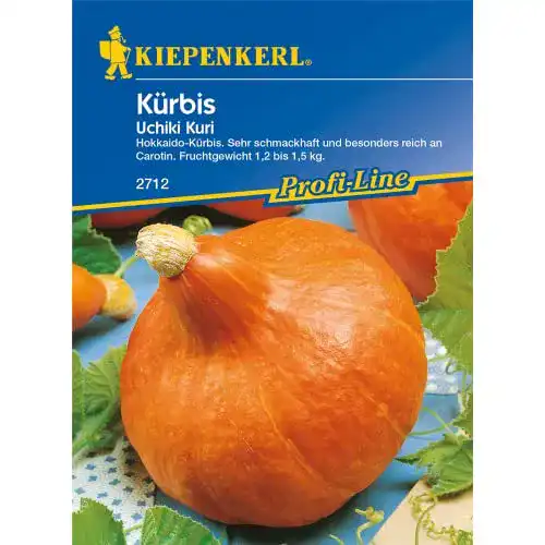 Kürbis-Samen Kiepenkerl Kürbissamen, Kürbis Uchiki Kuri