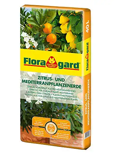 Zitruserde Floragard Zitrus-und Mediterranpflanzenerde 40 Liter Blumenerde, Erdfarben