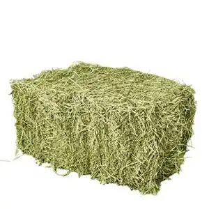 Heuballen Palatina Werkstatt ® 15 kg, direkt vom Bauern