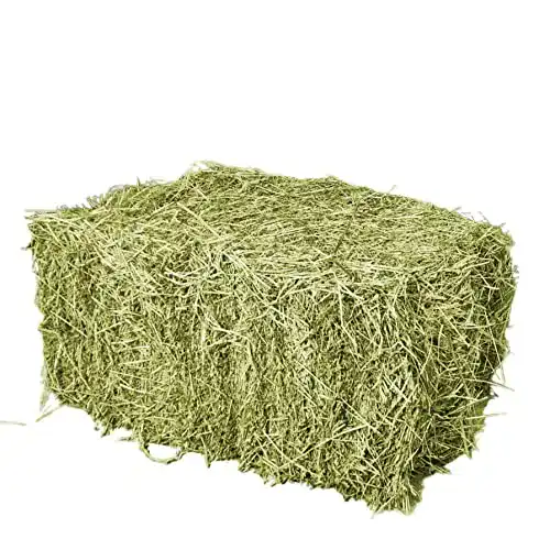 Heuballen Palatina Werkstatt ® 15 kg, direkt vom Bauern