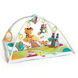 Krabbeldecke mit Spielbogen Tiny Love Baby Spieldecke Gymini