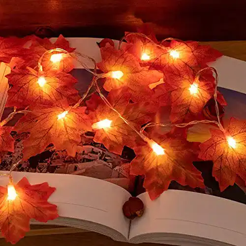 Herbstgirlande Richonour Herbst Girlande Lichterketten 2 Stück
