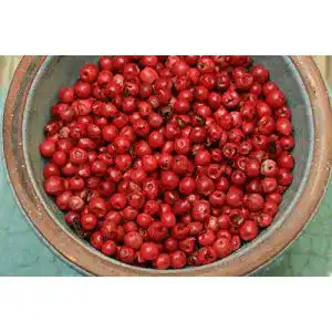 Rosa Pfeffer Gewürzkontor München Tu´ Dir gut! 100g