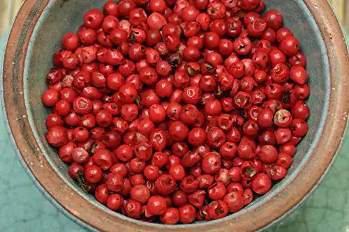 Rosa Pfeffer Gewürzkontor München Tu´ Dir gut! 100g