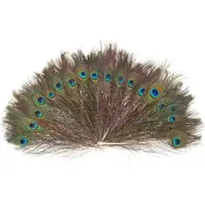 Pfauenfeder WINOMO 100 Stück 25-30 cm, schön natürlich