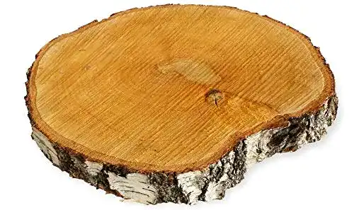 Baumscheibe matches21 HOME & HOBBY matches21 Birke