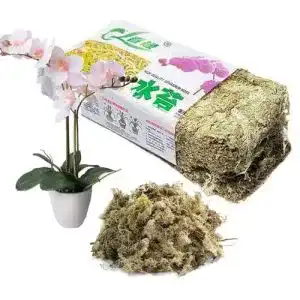 Sphagnum-Moos DERCLIVE 12 l Gartendünger Sphagnum Moos