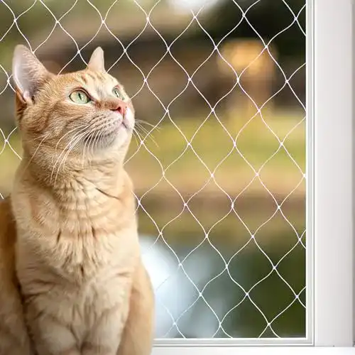 Die beste Katzennetz lionto by dibea Balkonschutznetz Größe 3x4 m (S) 2026 Test Bestseller Katzennetz lionto by dibea Balkonschutznetz Größe 3×4 m (S)