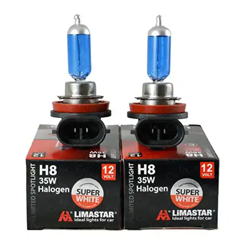 H8-Birne INBUSCO Halogenlampe
