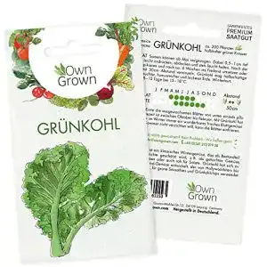 Grünkohl-Samen OwnGrown Grünkohl Samen: 200 Pflanzen