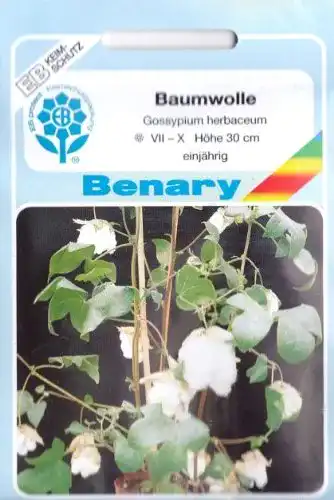 Baumwollsamen Ernst Benary Samenzucht GmbH, ca. 12 Samen