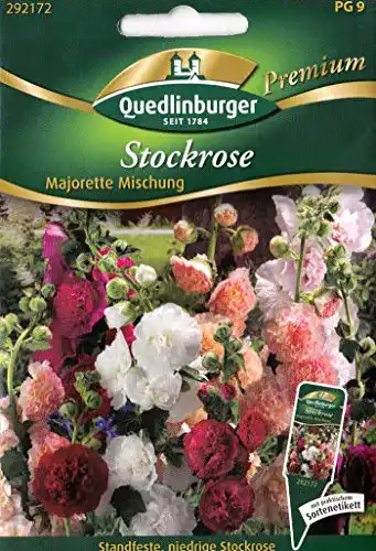 Stockrosen-Samen Vertriebsgesellschaft Quedlinburger Saatgut