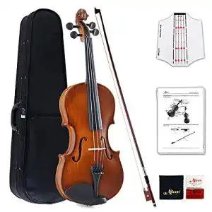 Geige Aileen MUSIC Aileen Kinder 4/4, Violine Lernen Anfänger Set