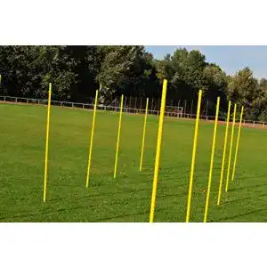 Slalomstange Vinex Set: 12 n mit Stahlspitzen und Tragetasche