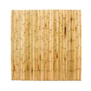 Bambuszaun bambus-discount.com 180x180cm gelb gebleicht
