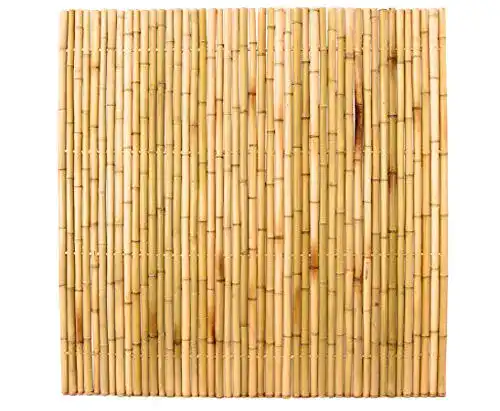Bambuszaun bambus-discount.com 180x180cm gelb gebleicht