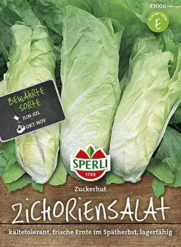 Zuckerhut-Samen Sperli Salatsamen, Zichoriensalat, Zuckerhut