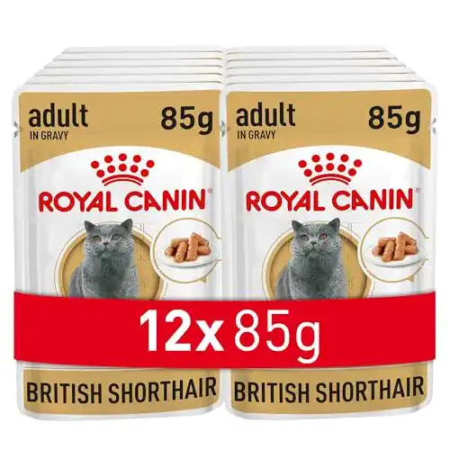Die beste Royal-Canin-Nassfutter (Katze) ROYAL CANIN British Shorthair 2026 Test Bestseller Royal-Canin-Nassfutter (Katze) ROYAL CANIN British Shorthair