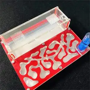Ameisenfarm ANT GRAPE Ant Farm Educational Formicarium