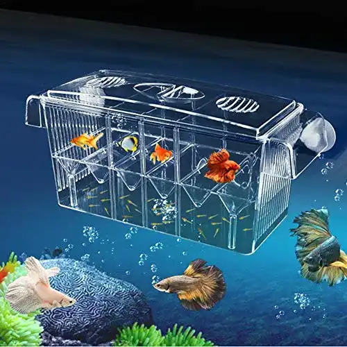 Fischzuchtbecken Hearthrousy Aquarium Ablaichkasten Fisch
