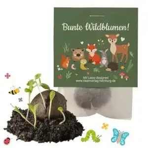 Samenbombe Ideenverlag-Hamburg 10x “Waldtiere”