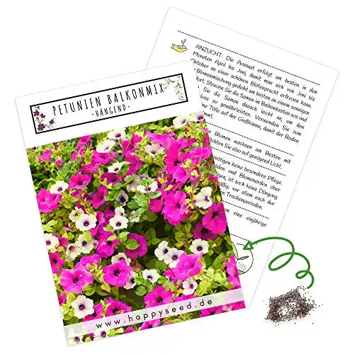 Petunien-Samen HappySeed Balkonkasten Mischung