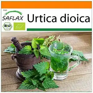 Brennnesselsamen Saflax, Geschenk Set, BIO, 2000 Samen