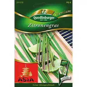 Zitronengras-Samen Quedlinburger Saatgut Zitronengras Samen