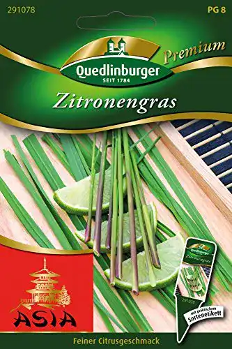 Zitronengras-Samen Quedlinburger Saatgut Zitronengras Samen