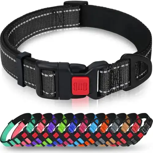 Hundehalsband Welpen Taglory, Weich Gepolstertes Neopren