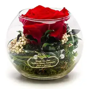 Ewige Rose Rosen-Te-Amo, konservierte ewige rote Rose im Glas