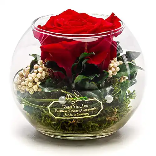 Ewige Rose Rosen-Te-Amo, konservierte ewige rote Rose im Glas