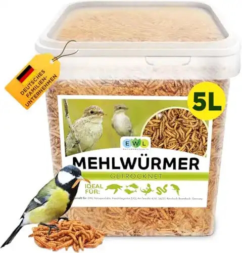 Die beste Mehlwürmer EWL Naturprodukte getrocknet 800g 5 ltr. 2026 Test Bestseller Mehlwürmer EWL Naturprodukte getrocknet 800g 5 ltr.