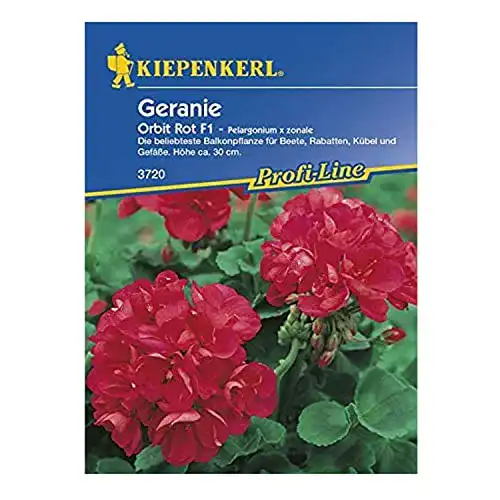 Geranien-Samen Kiepenkerl stehende Geranien rot