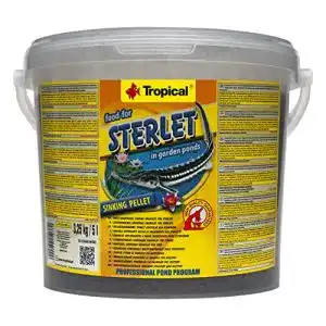 Störfutter Tropical Sterlet (), 1er Pack (1 x 5 l)