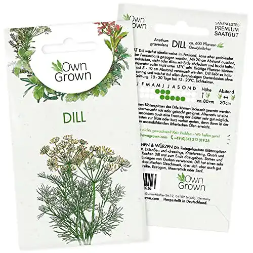 Dill-Samen OwnGrown Dill Samen, ca 600 Dill Pflanzen