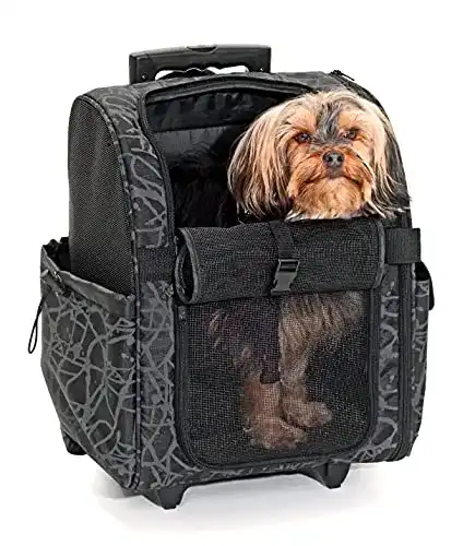 Die beste Hunderucksack Karlie Smart Trolley City L: 32 cm B: 29 cm H: 52 cm 2026 Test Bestseller Hunderucksack Karlie Smart Trolley City L: 32 cm B: 29 cm H: 52 cm