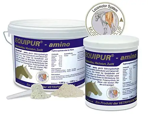 Muskelaufbau-Pferd-Zusatzfutter Equipur amino 1kg