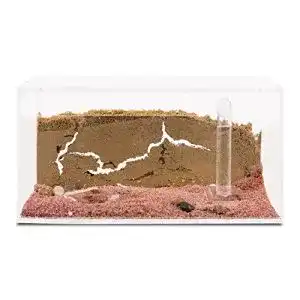Ameisenfarm AntHouse, natürlich aus Sand, Acryl Starter Set