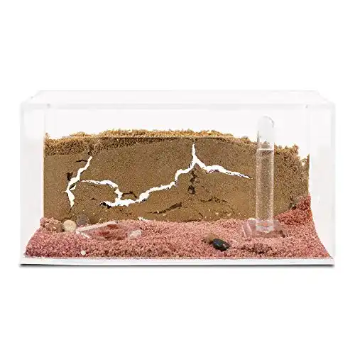 Ameisenfarm AntHouse, natürlich aus Sand, Acryl Starter Set