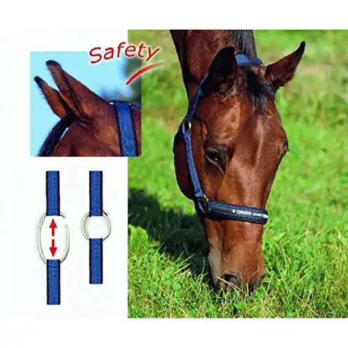 Sicherheitshalfter Eskadron SAFETY Halfter mit Zierband, schwarz