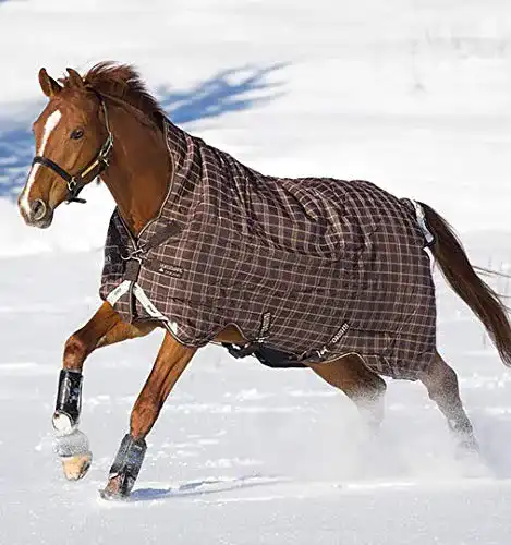 Regendecke Pferd Horseware Pferde Winterdecke Rhino Wug 160cm