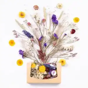 Getrocknete Blumen Kunstharz.Art Echte & natürliche
