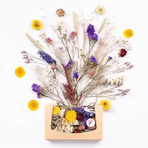 Getrocknete Blumen Kunstharz.Art Echte & natürliche