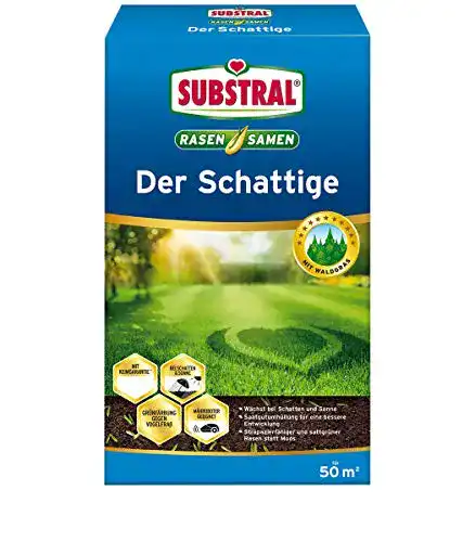 Schattenrasen-Samen Substral Rasensamen Der Schattige, 1 kg