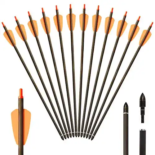 Armbrustpfeile IRQ Speed Voll Carbon, 7,5″ / 15″ Armbrust Bolzen