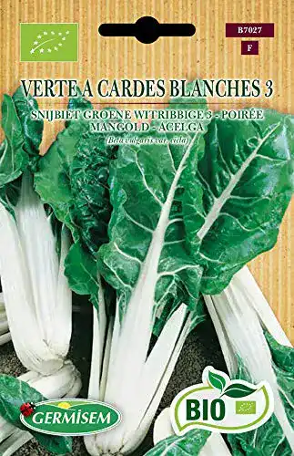 Mangold-Samen Germisem Mangold VERTE A CARDES BLANCHES