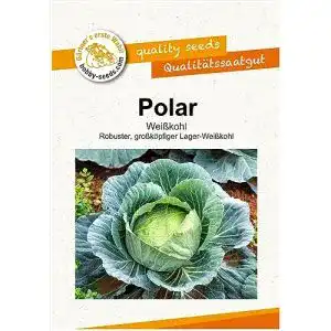 Weißkohl-Samen Gärtner’s erste Wahl! bobby-seeds.com, Polar