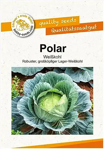 Weißkohl-Samen Gärtner’s erste Wahl! bobby-seeds.com, Polar